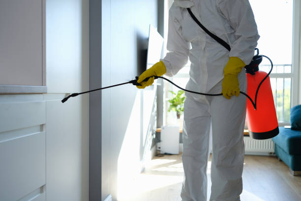 Mold Testing and Removal in Kenova, WV