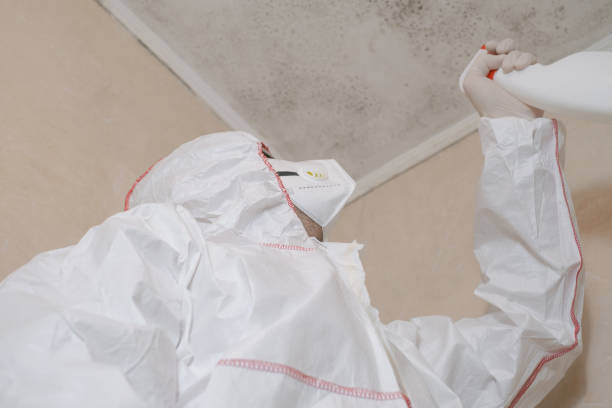 Best Mold Inspection  in Kenova, WV