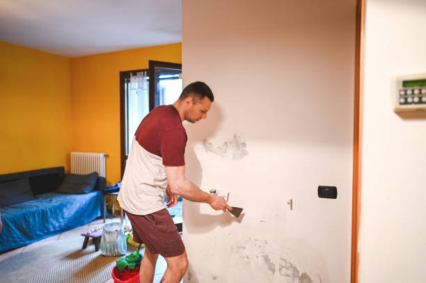 Trusted Kenova, WV Mold Removal Experts